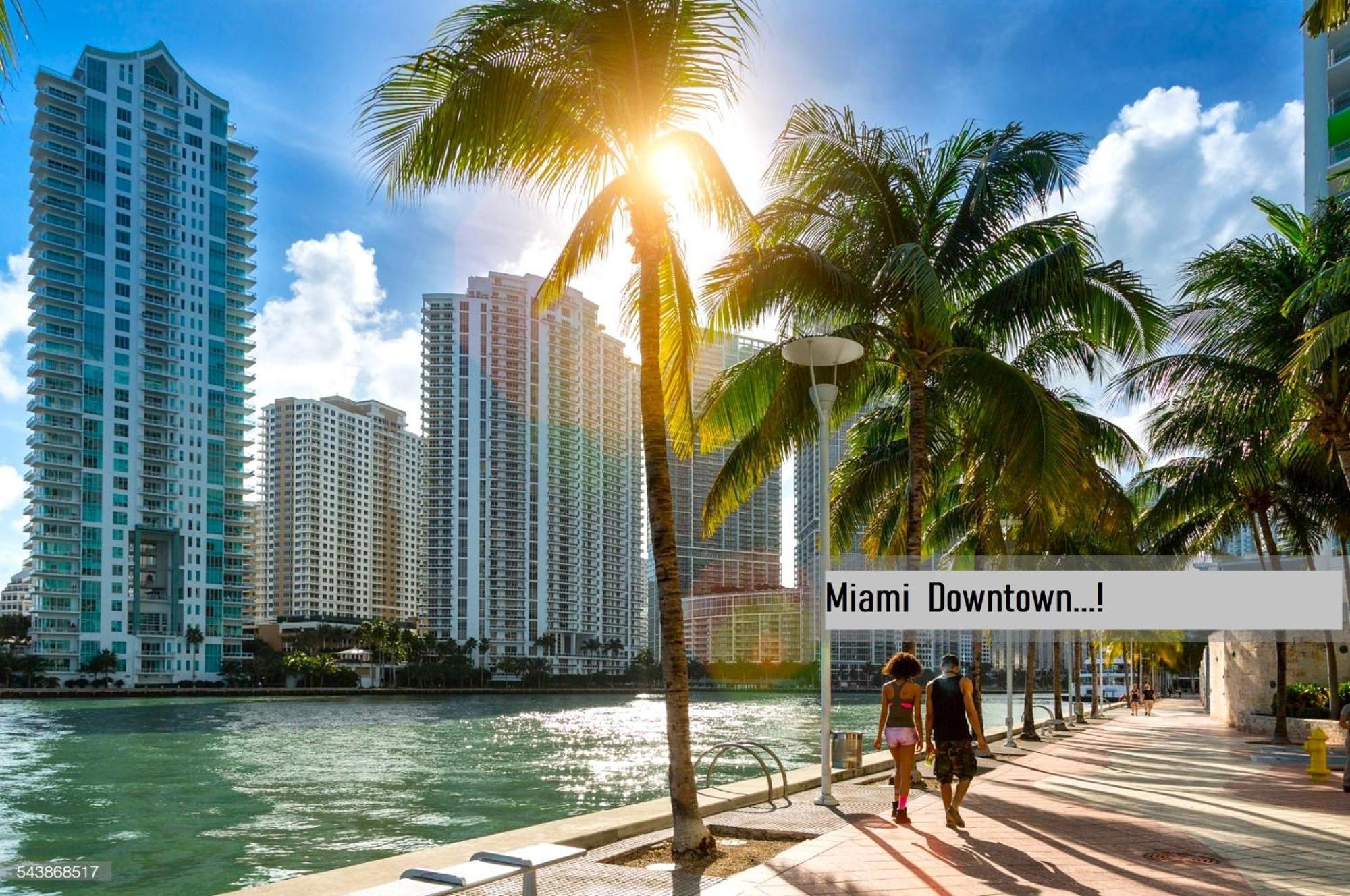 Experience The Perfect Miami Life!! Centrally Located Luxury Condo! Bagian luar foto